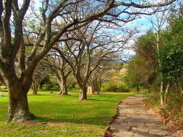 Cottage on Ilchester Grahamstown Esterno foto